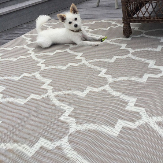 Casa Blanca Sand & White