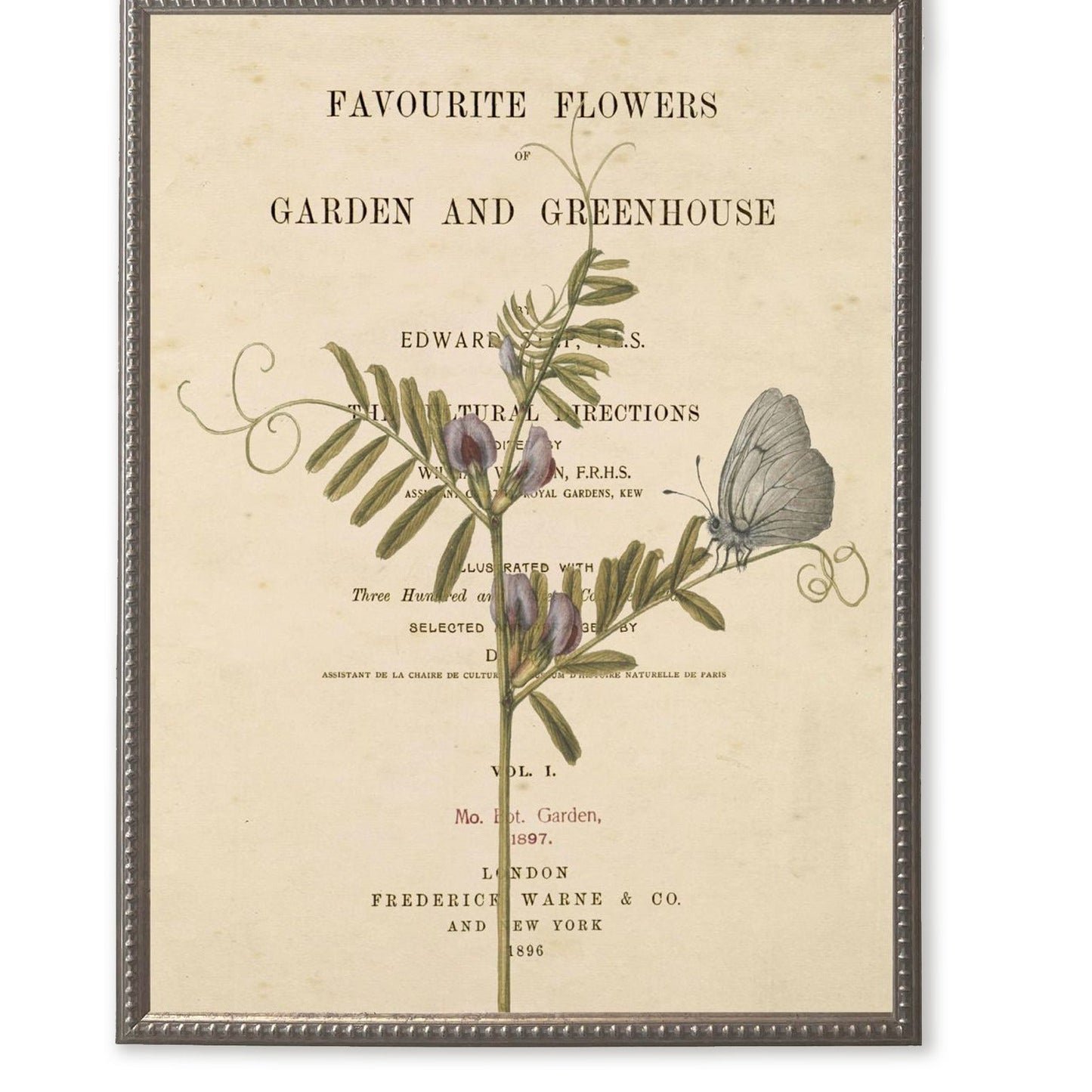 Purple Flowers and Moth on Book Page in Silver-Beaded Frame