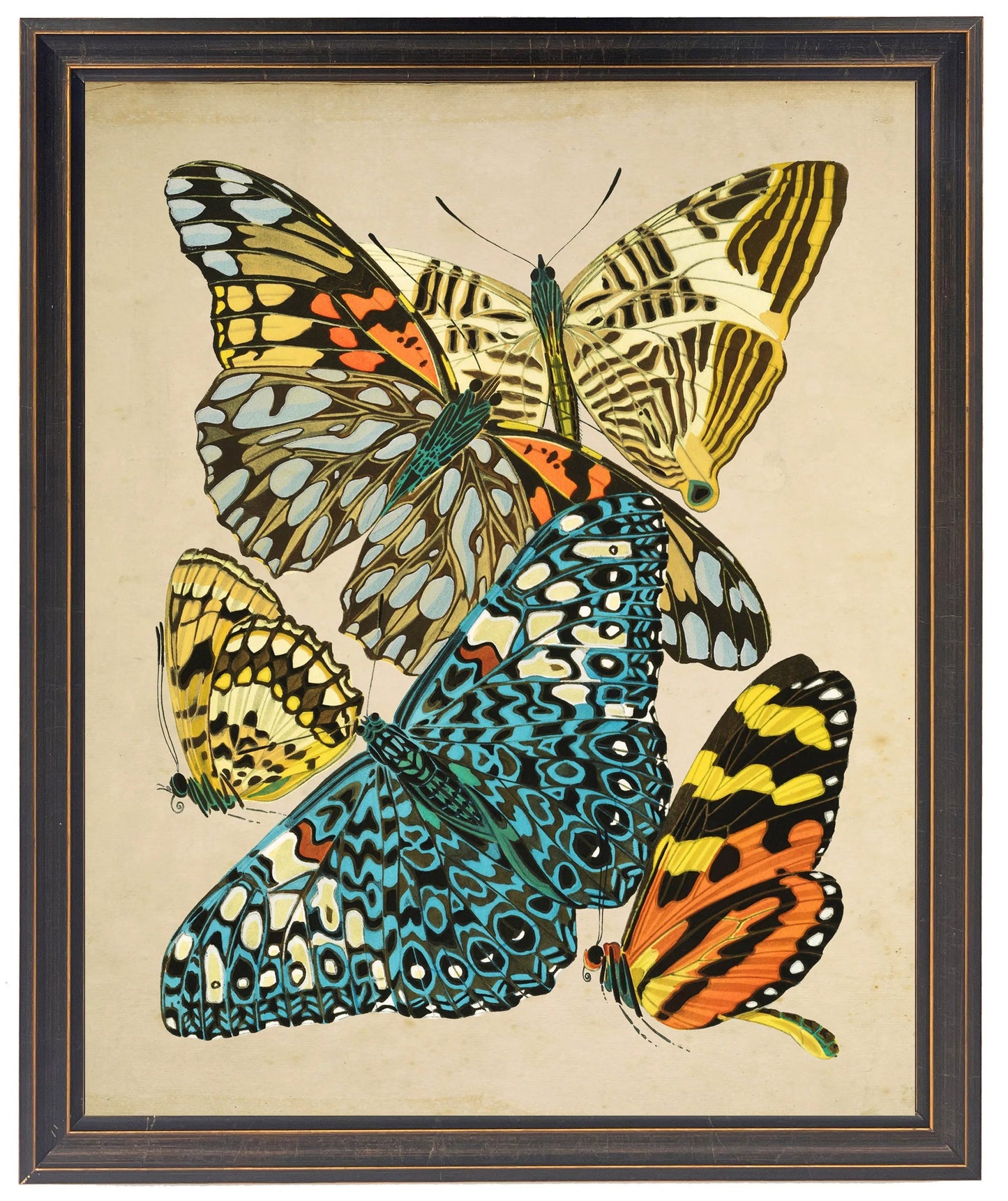 Vintage bright multi butterfly print on a distressed background in a copper and black shaped frame sized 18x24