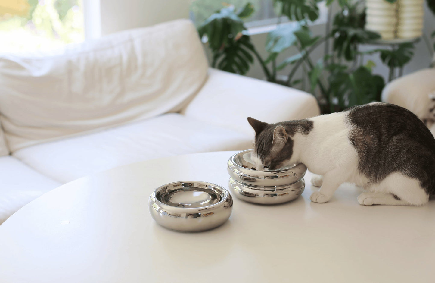 Chrome Halo Elevated Pet Bowl