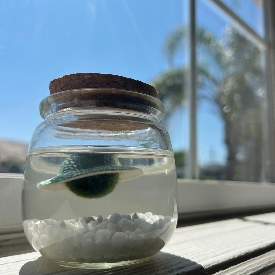 Medium Moss Ball | Moss Chico