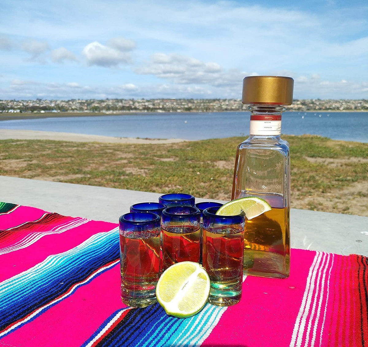 Cobalt Blue Rim Tequila Shot Glasses - Set of 6