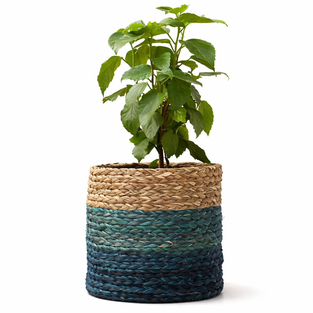 Babui Eco-Pot - Indigo