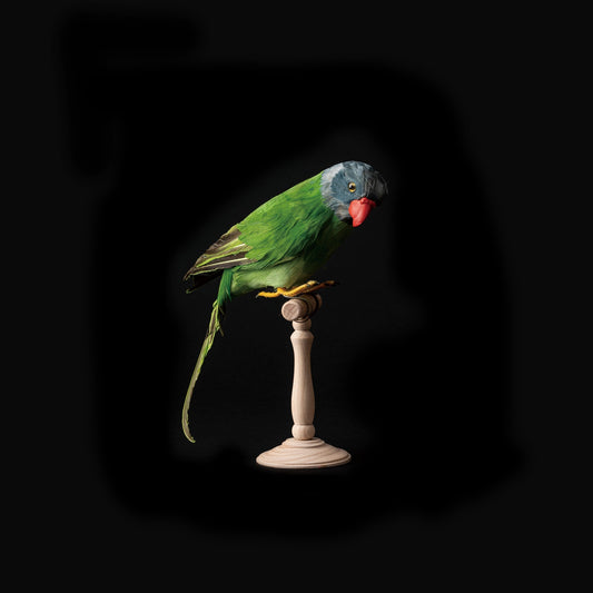 Artificial Birds / Green Parrot