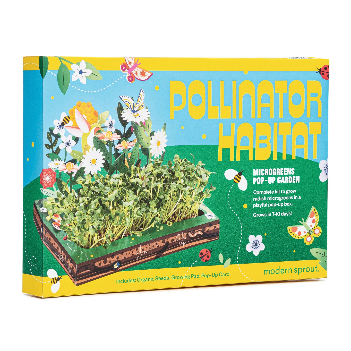 Microgreens DIY Kit