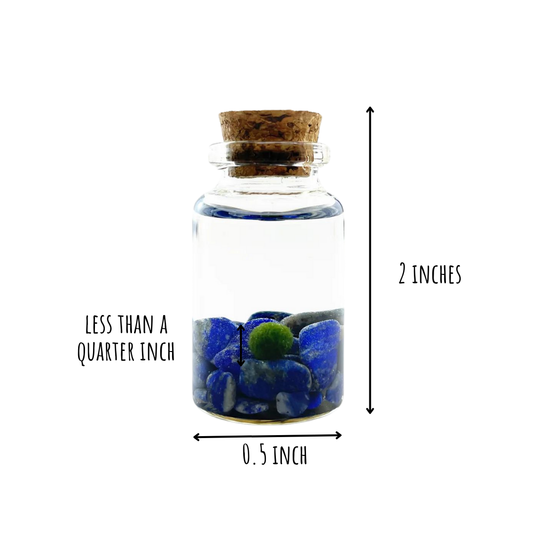 Lapis Lazuli Moss Niño