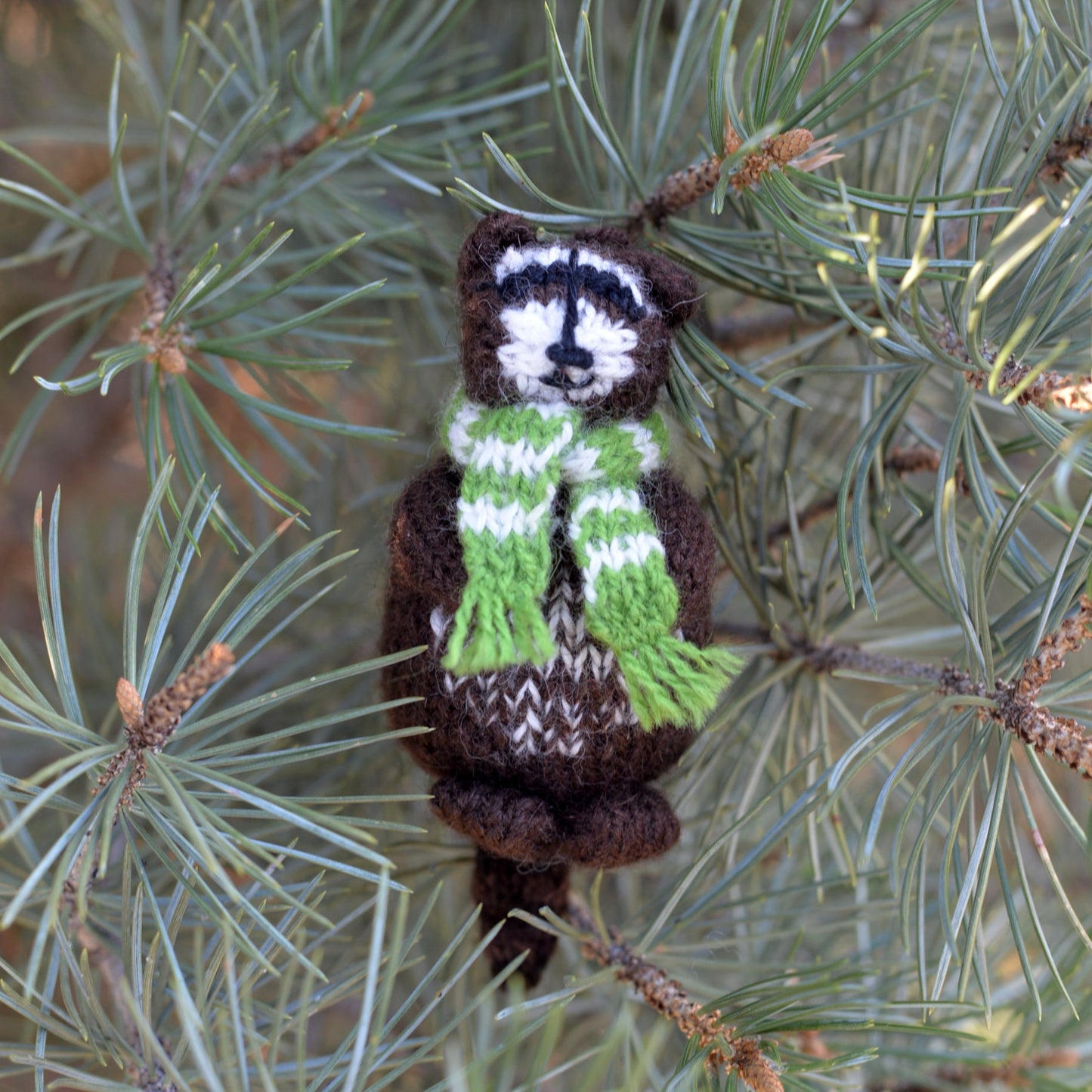 Raccoon Ornaments, set of 3