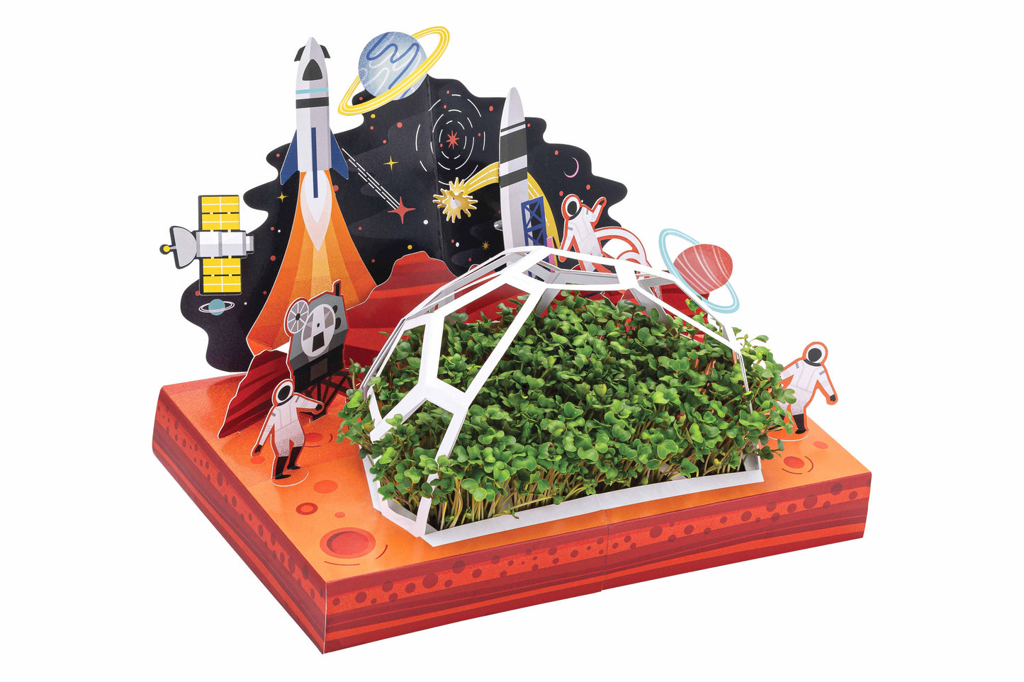 Microgreens DIY Kit