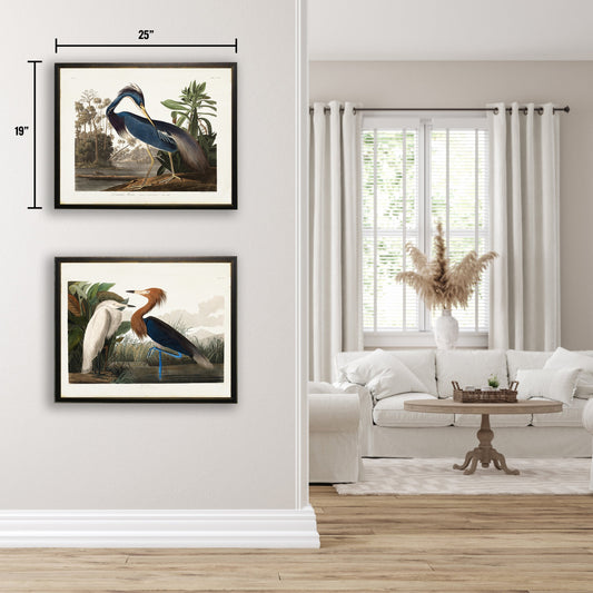 Blue Heron in Black and Copper Frame