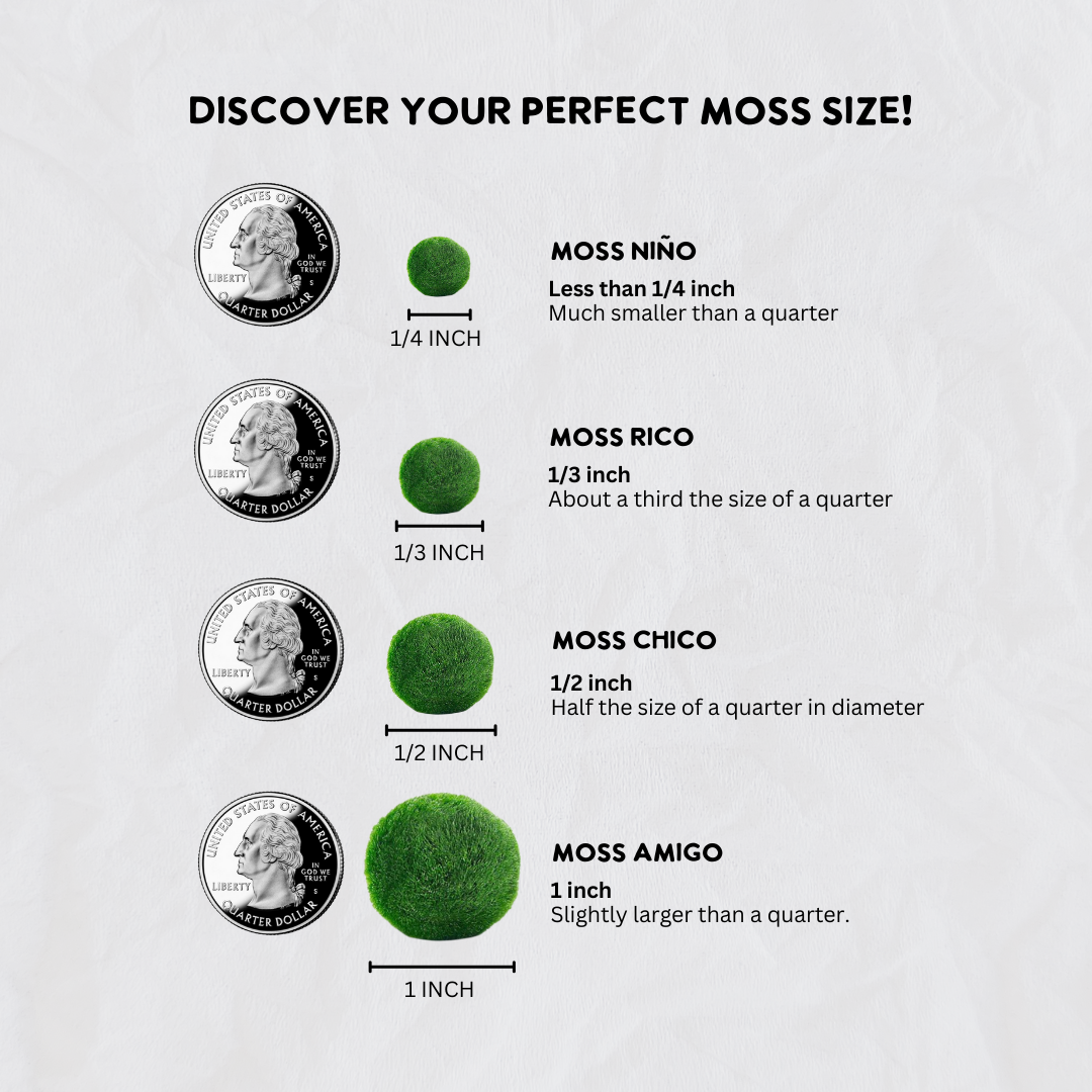 Mini Moss Ball | Rose Quartz Moss Niño
