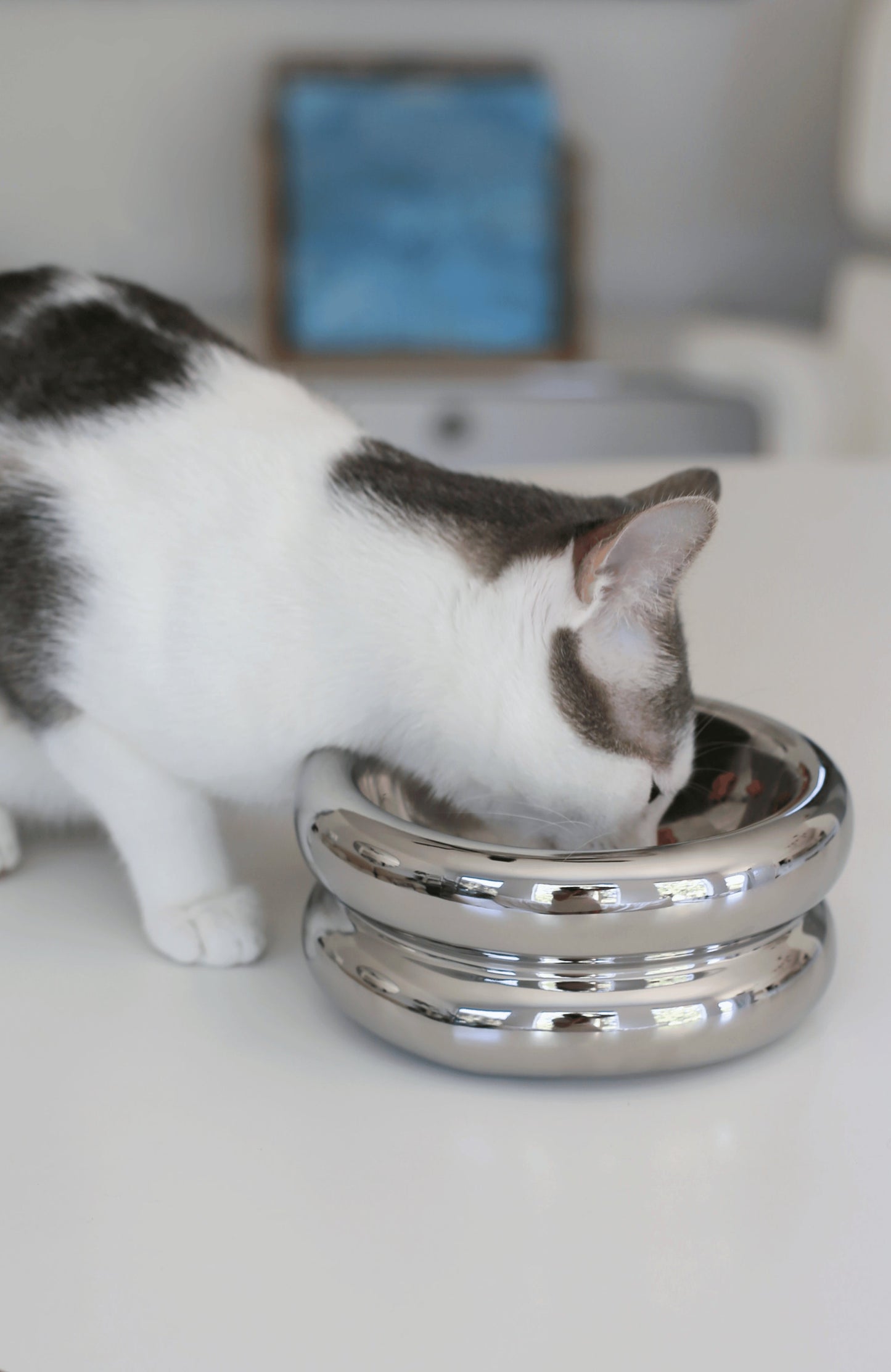 Chrome Halo Elevated Pet Bowl