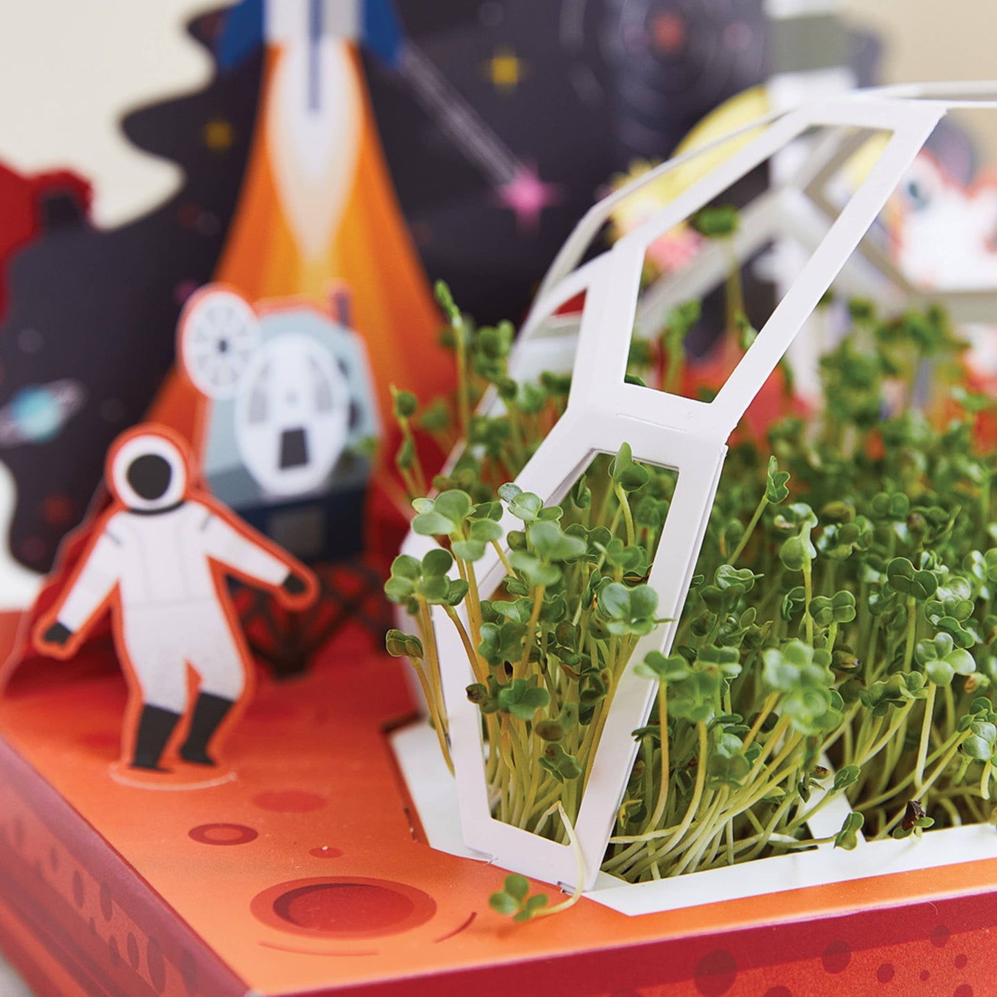 Microgreens DIY Kit