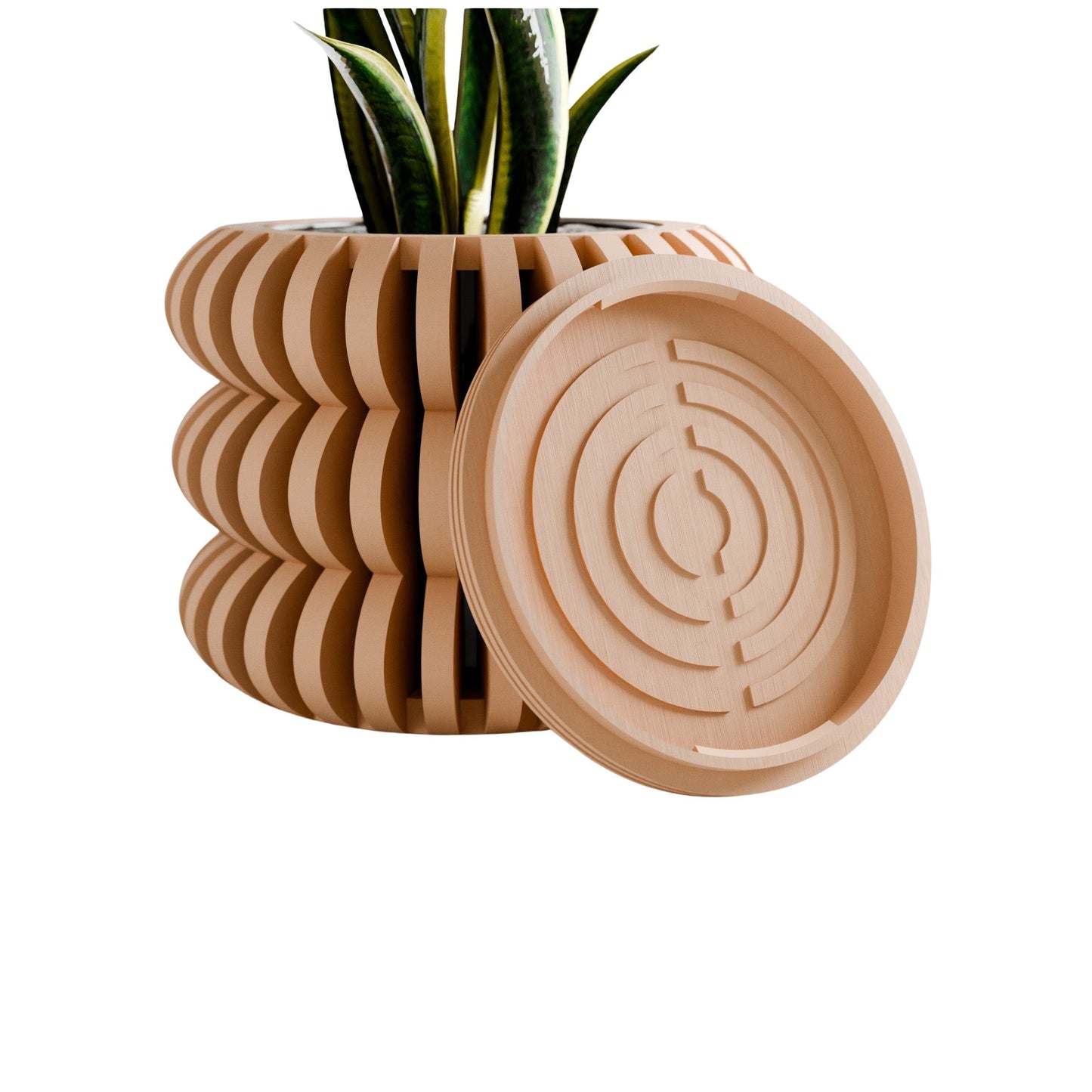 Triple Bubble Orchid Planter