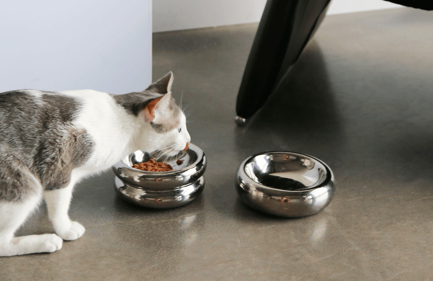 Chrome Halo Elevated Pet Bowl
