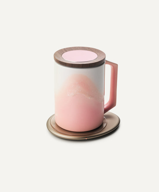 Ui Artist Collection Set - Fuchsia Cloud