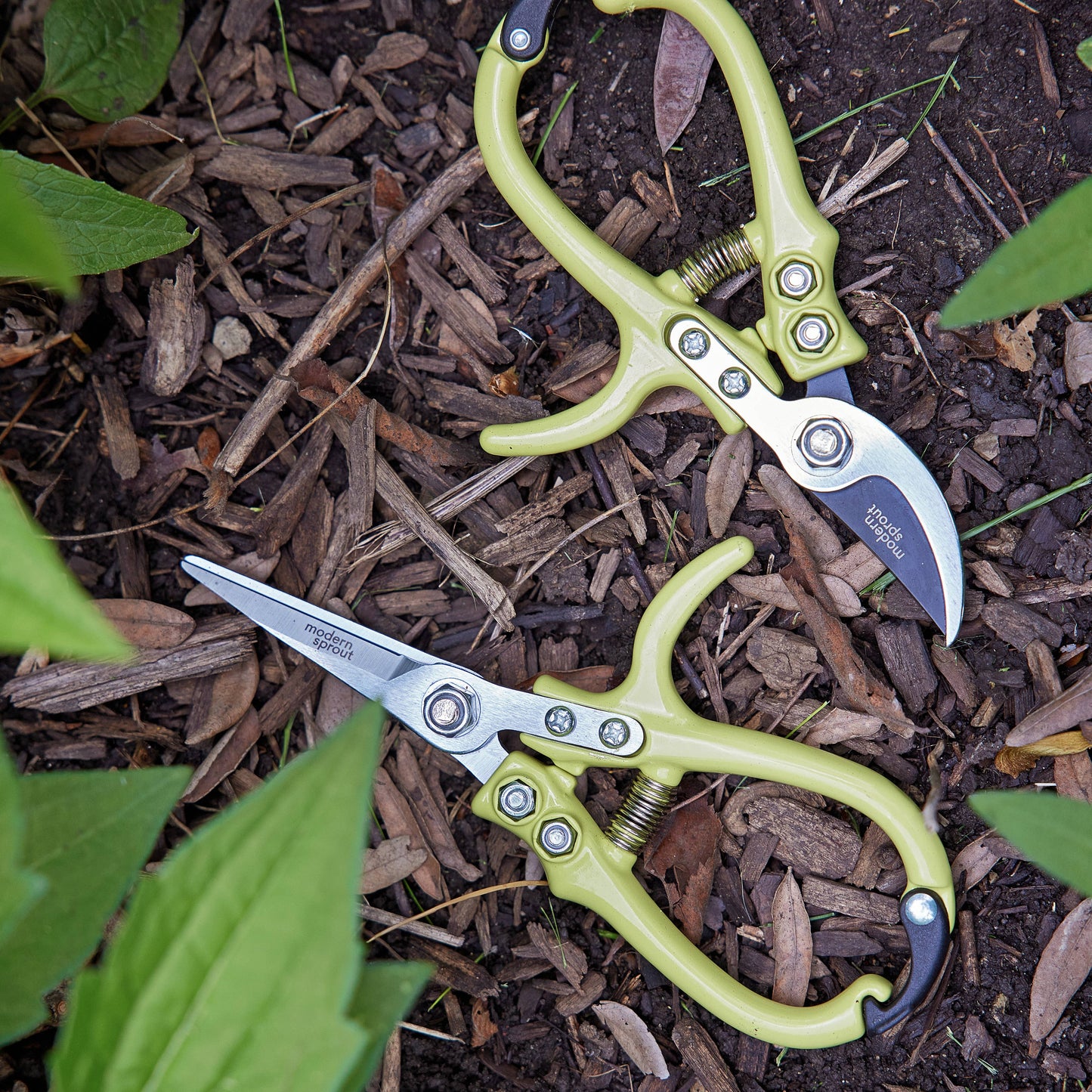 Garden Pruners (Lavender)
