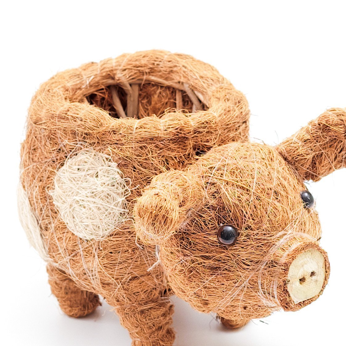 Baby Pig Succulent Pot