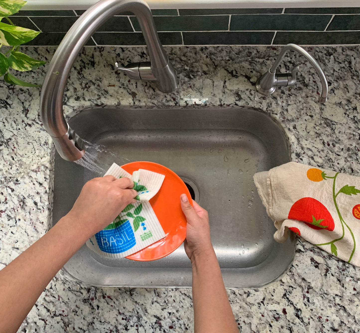 Fresh Herbs - Sponge Cloth Set of 3