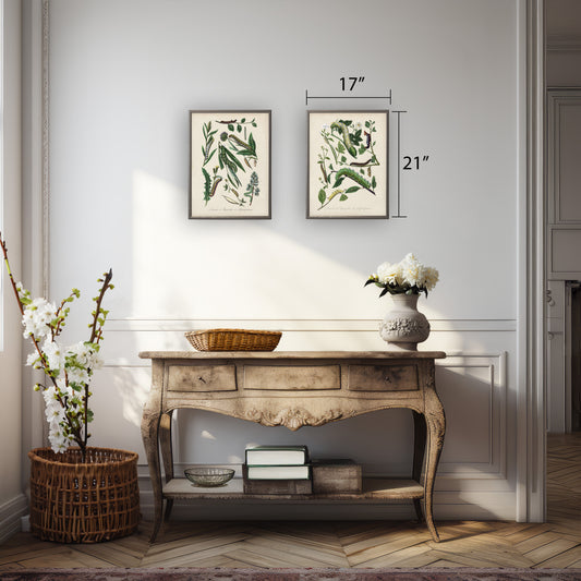 Caterpillar and Flower Print in Beaded Pewter Frame