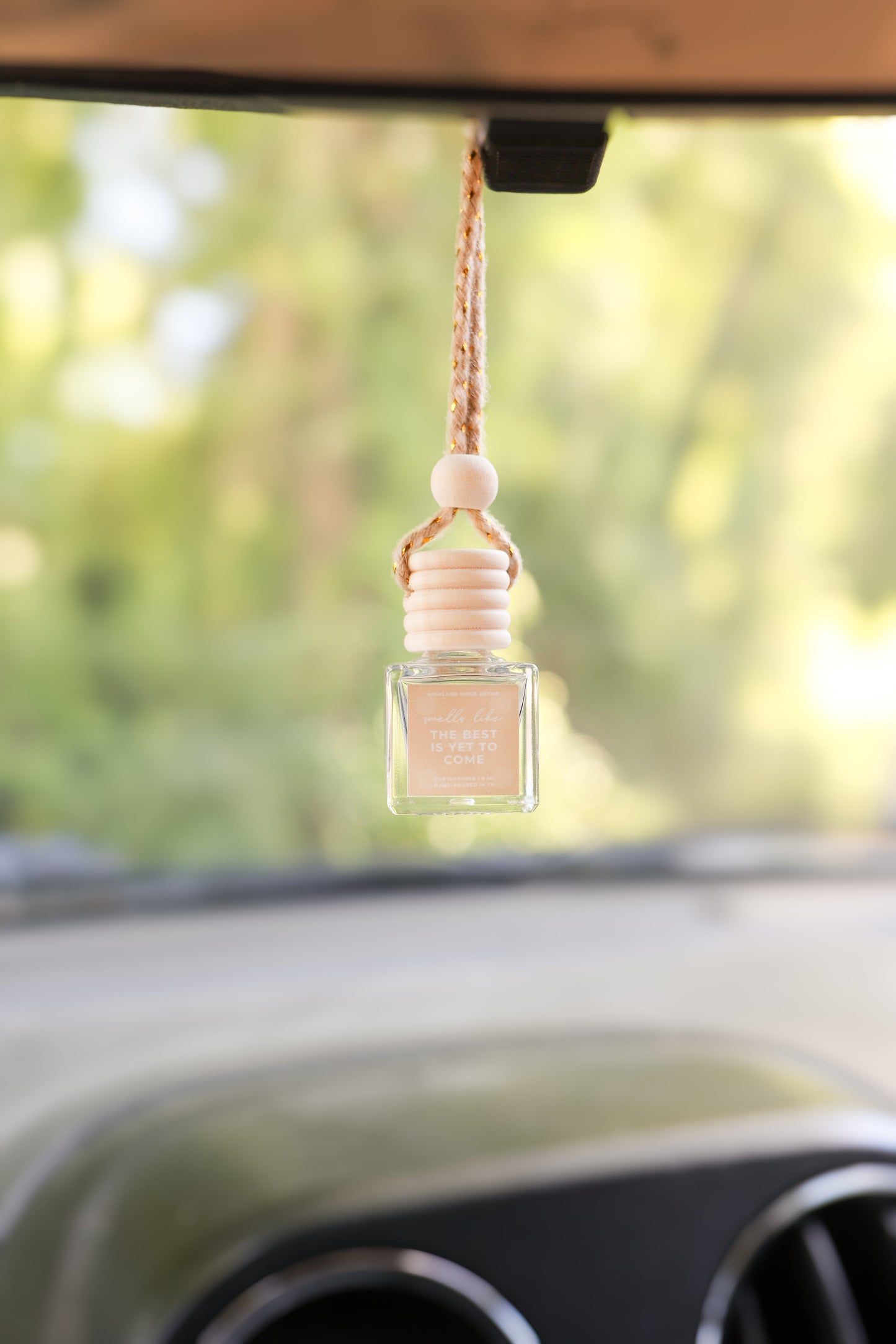 The Best is Yet to Come Car Diffuser