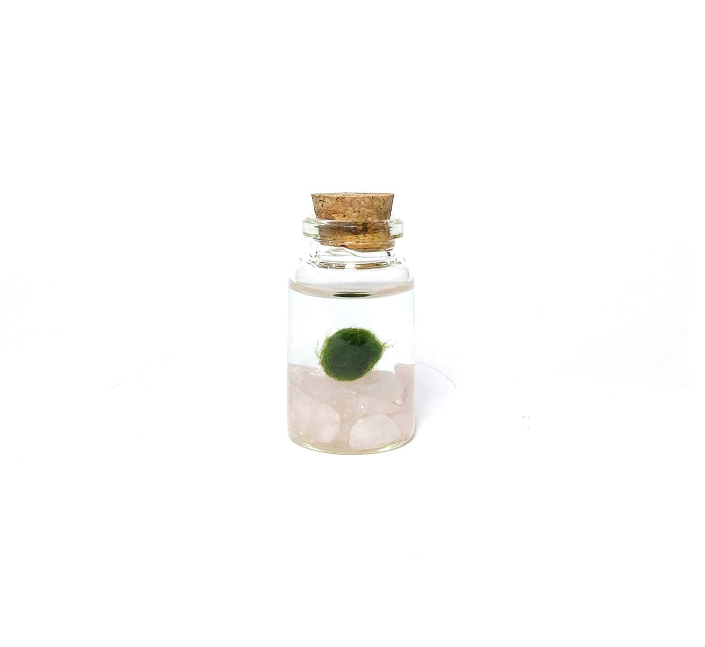 Mini Moss Ball | Rose Quartz Moss Niño