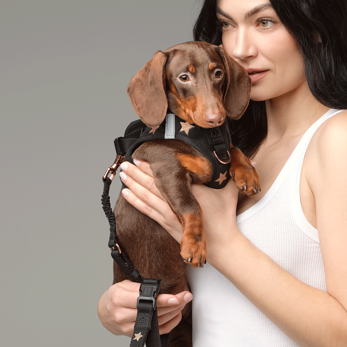 SoHo Complete Dog Walking Set - Rockstar