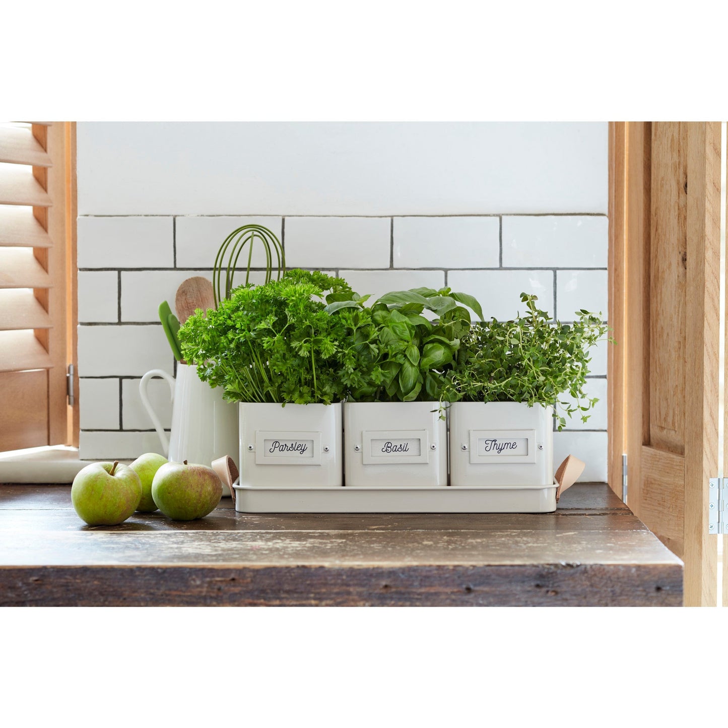 Burgon & Ball® 3 Herb Pots with Leather Handled Tray, Stone