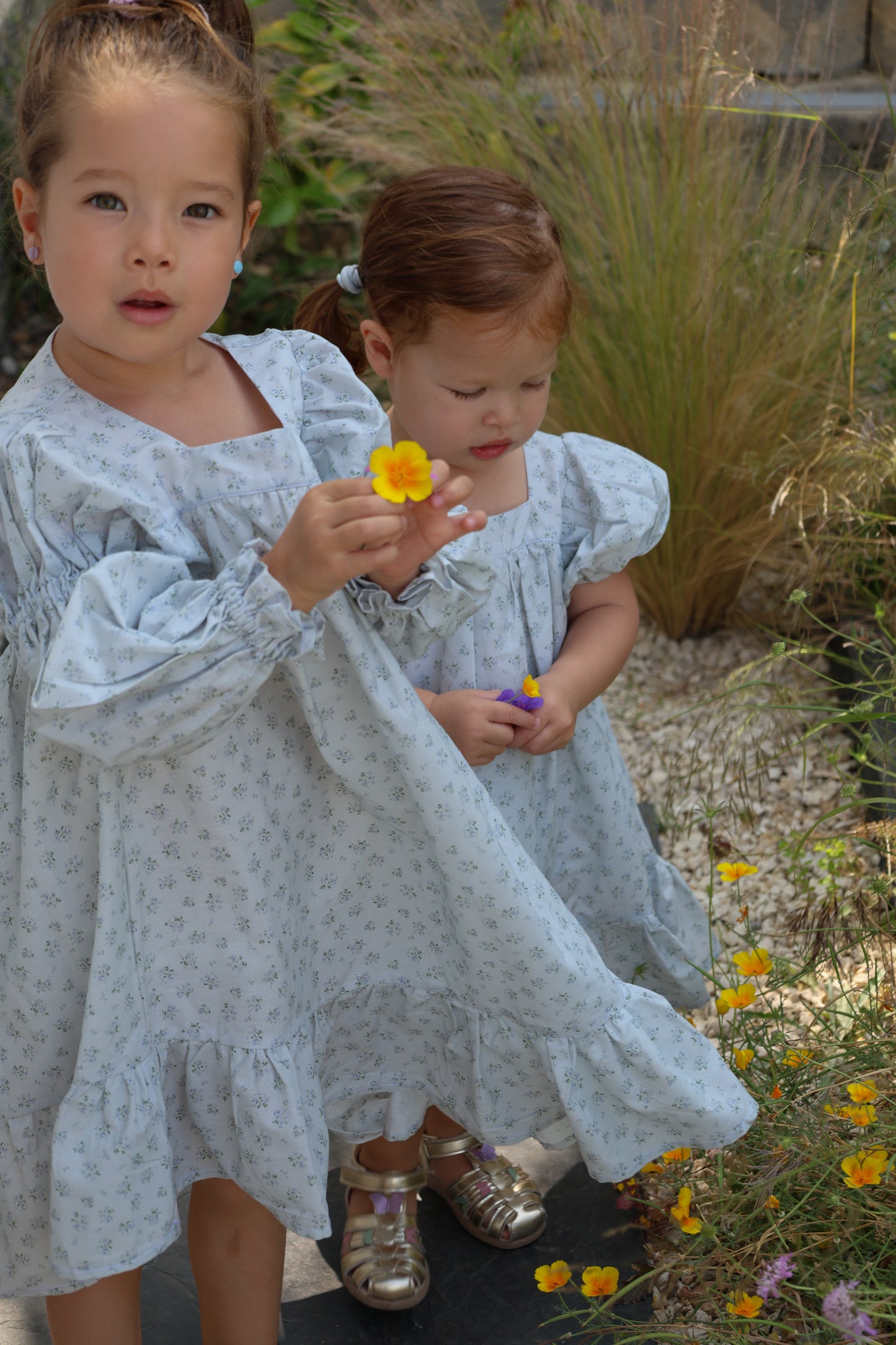 Fiona Dress-Fleur de Brume