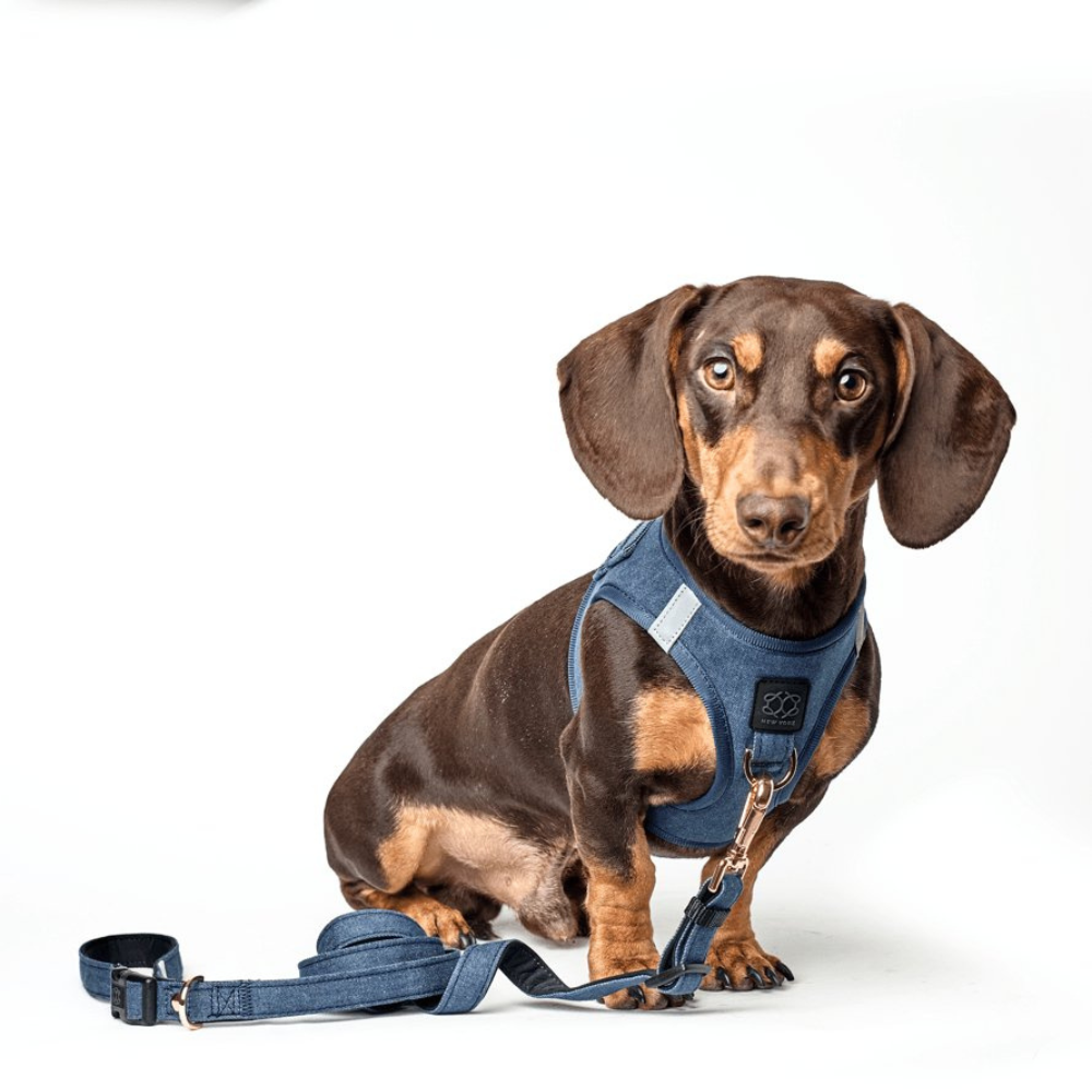 SoHo Dog Harness - Denim