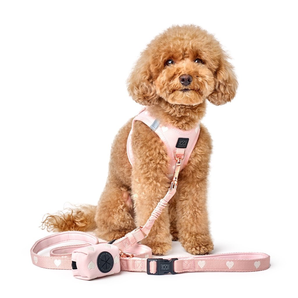 Poop Bag Holder - Sweetheart