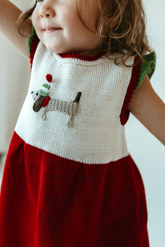 Holiday Dog Dress