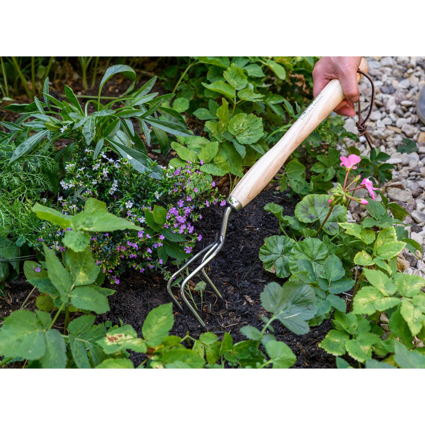 Burgon & Ball® Mid-Handled Stainless Steel Claw Cultivator, RHS Endorsed