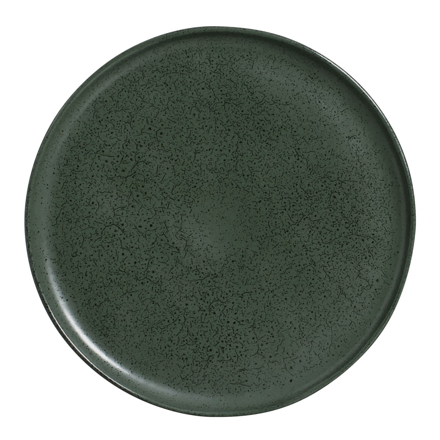 Buffet Dinner Plate Set of 6