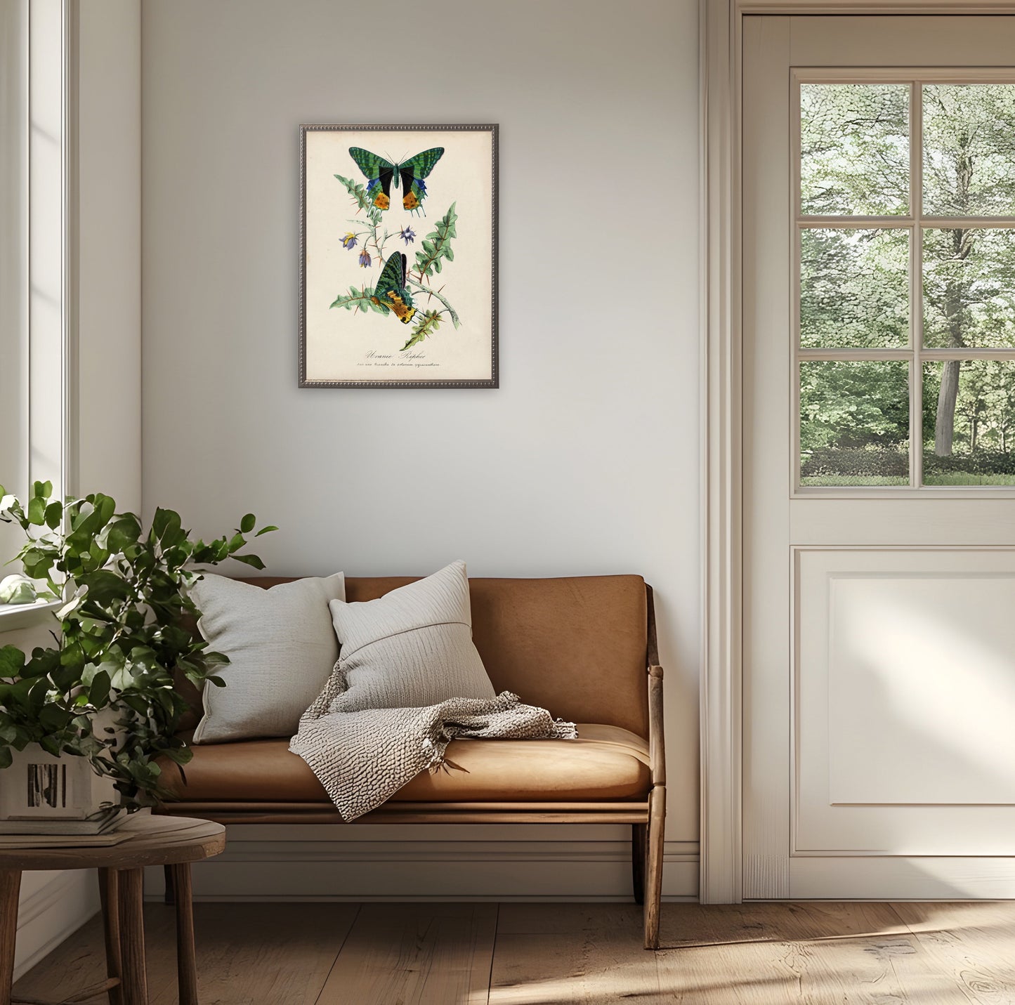 Vintage Butterfly & Flower Print in Beaded Pewter Frame