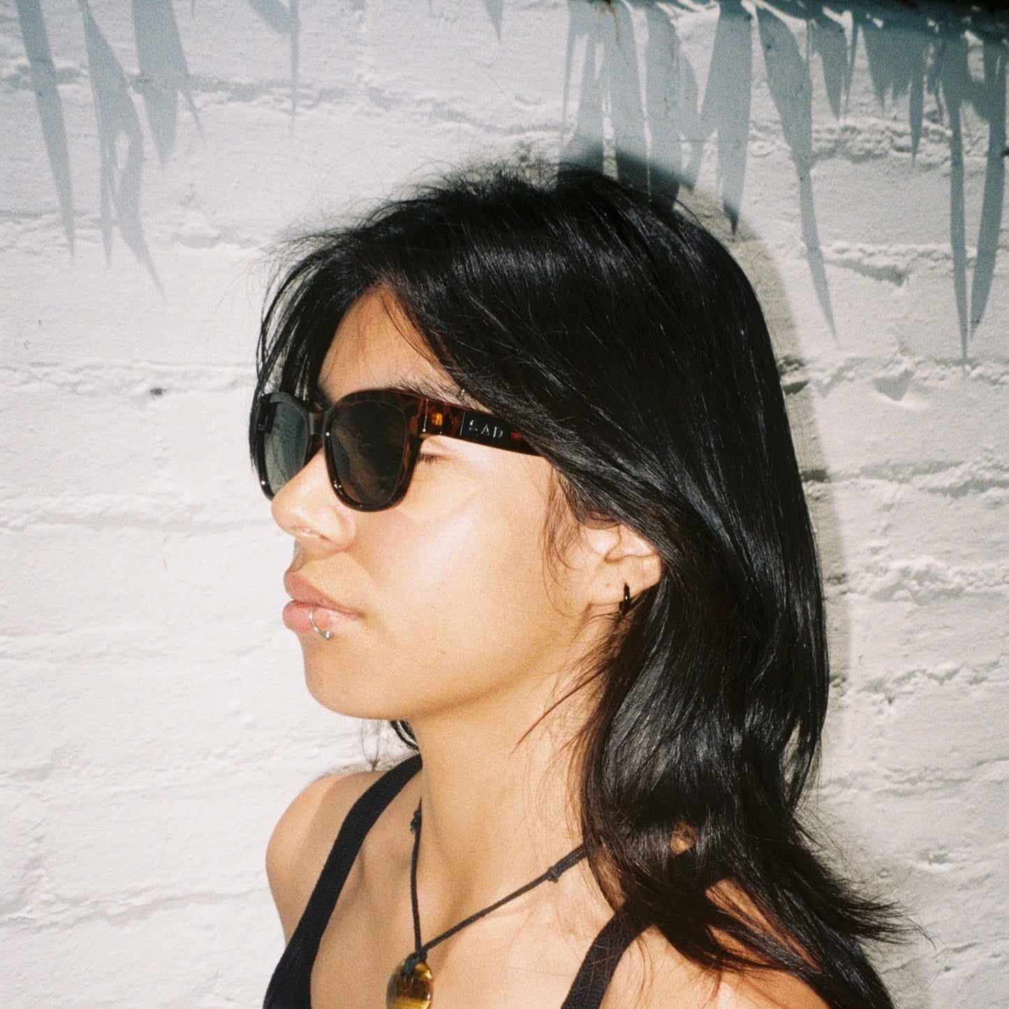 Pony // Tortoise [Olive Lens]