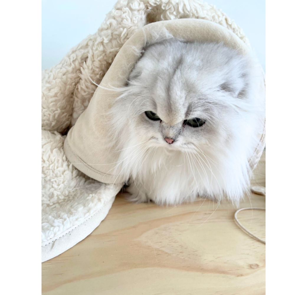 Organic Dog Blanket - Sherpa Cotton - Cream