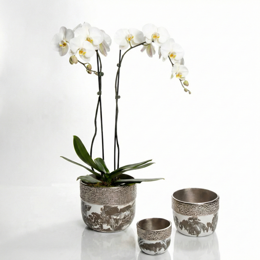 Dansbury Cache Pots