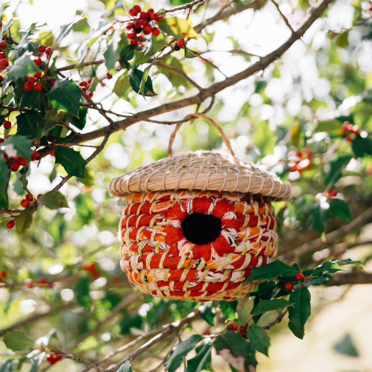 Acorn Sari Birdhouse