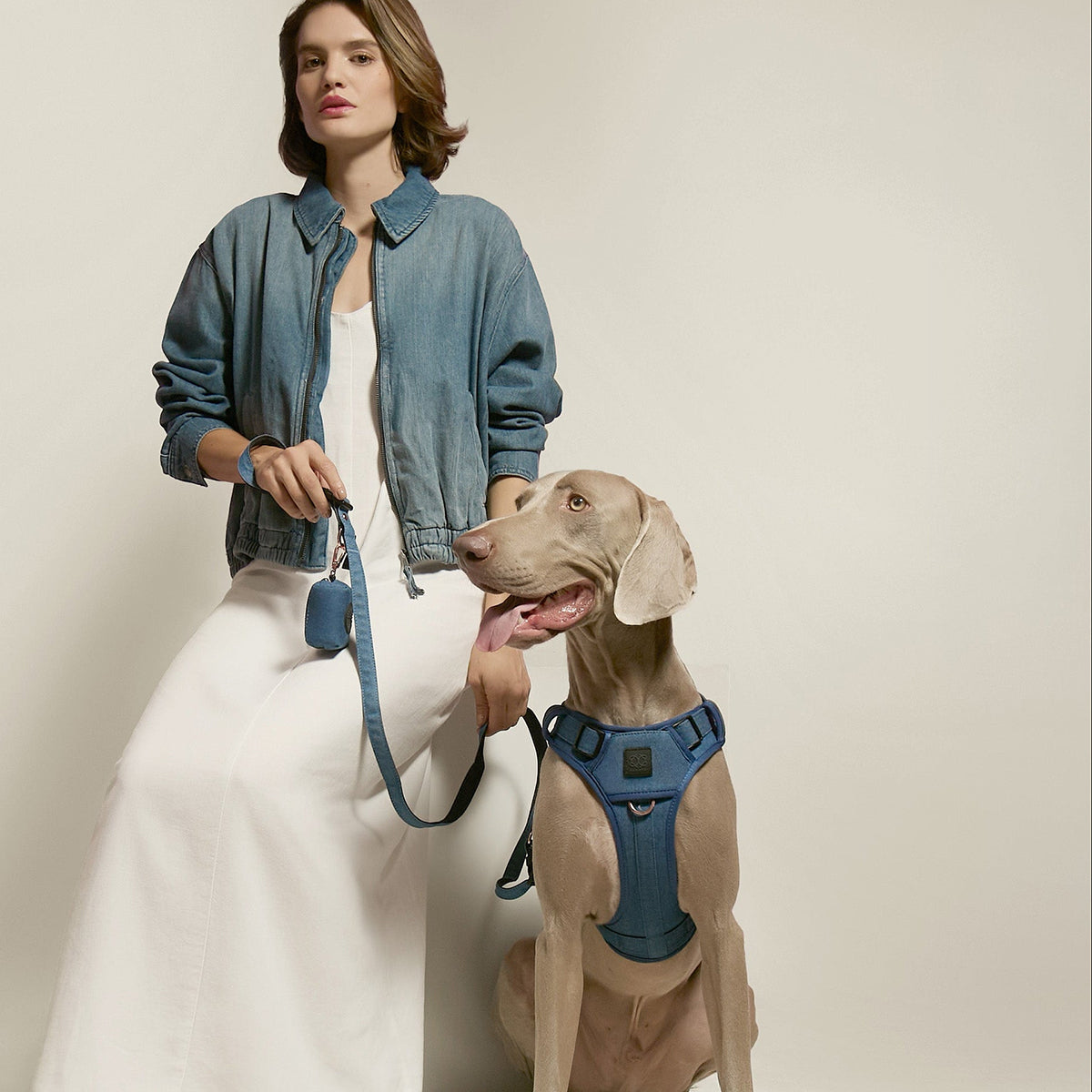 City Leash Set - Denim NoMad