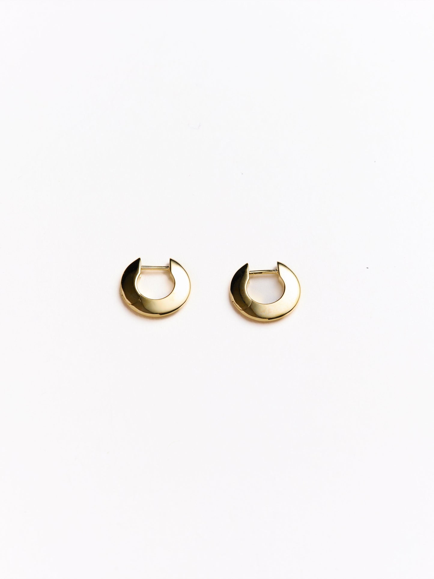 Talia Small Hoop Earrings