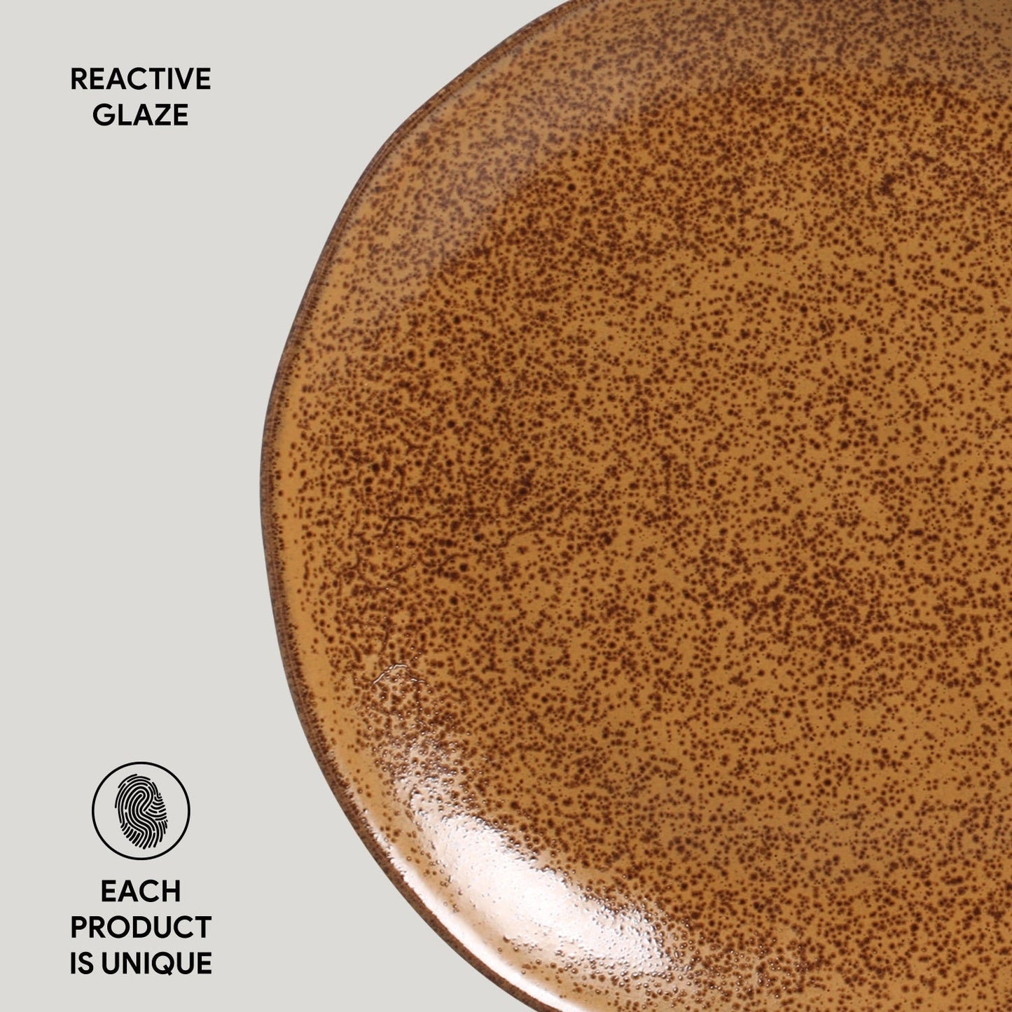 Dinner Plate Set of 6