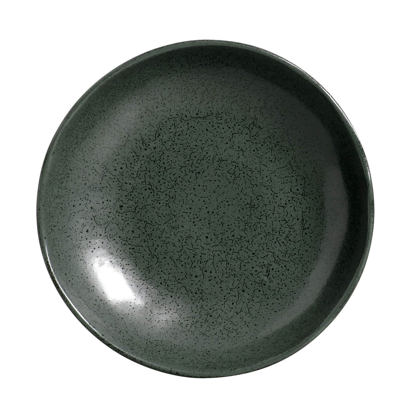 Pasta Plate Set of 6