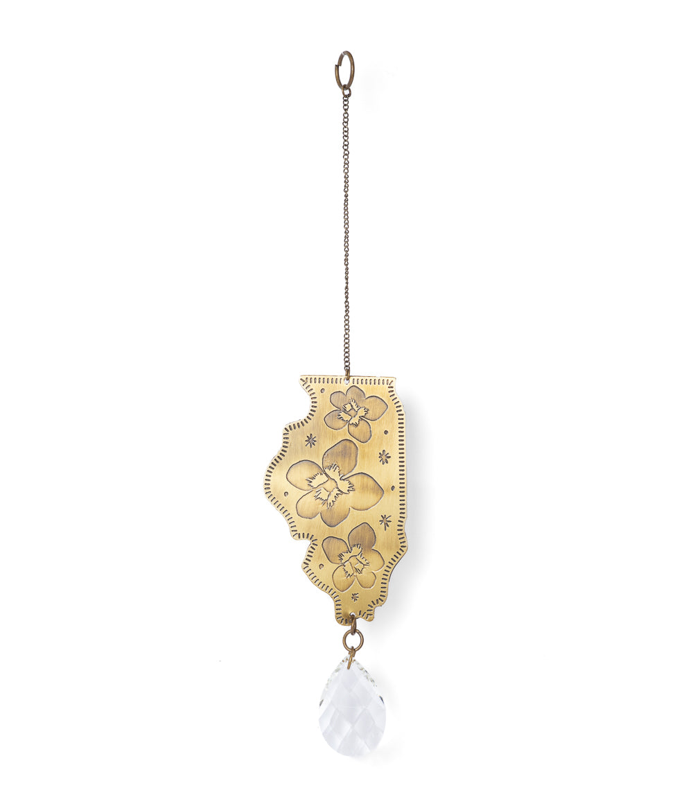 Illinois State Blue Violet Engraved Suncatcher