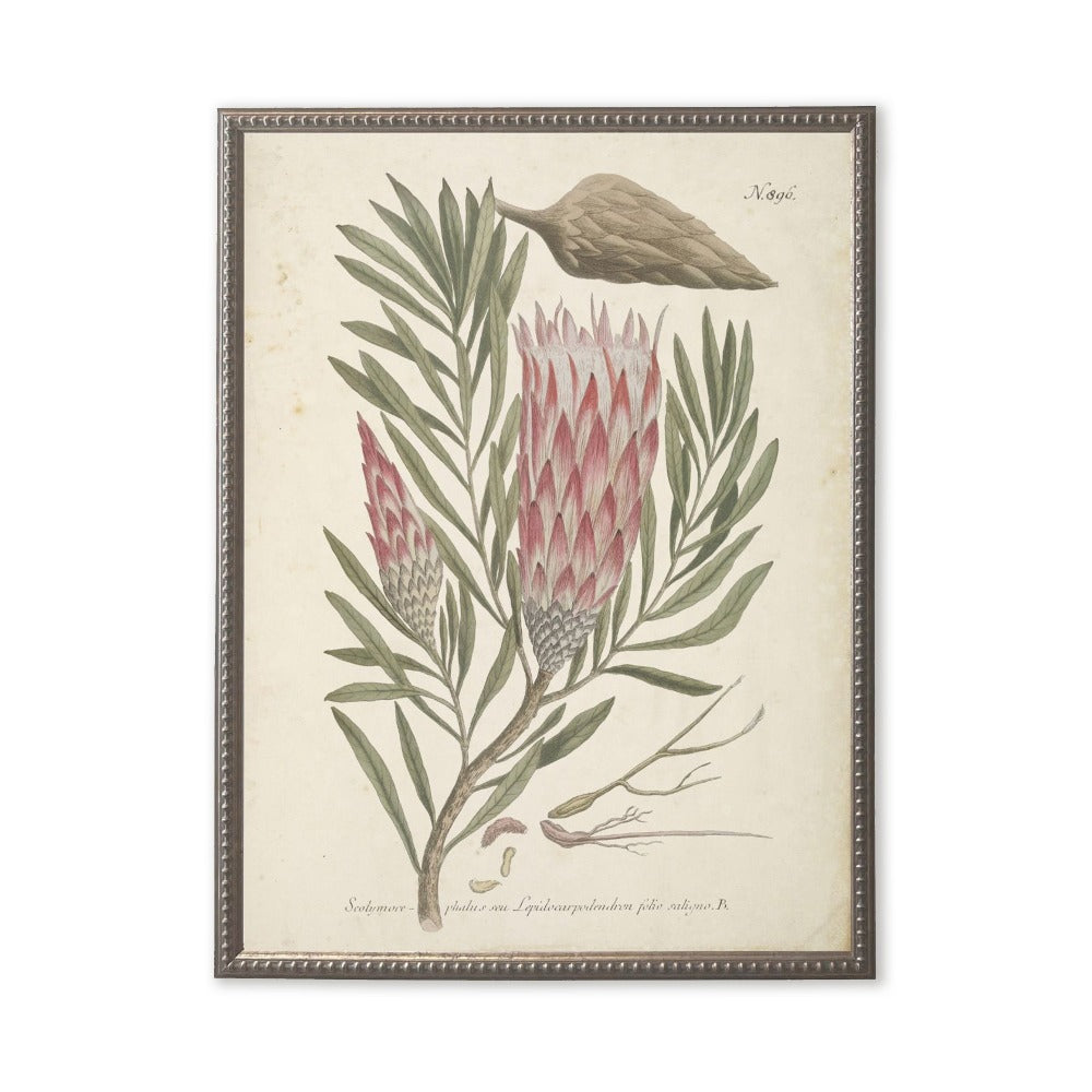 Pink Flower in Silver-Beaded Frame