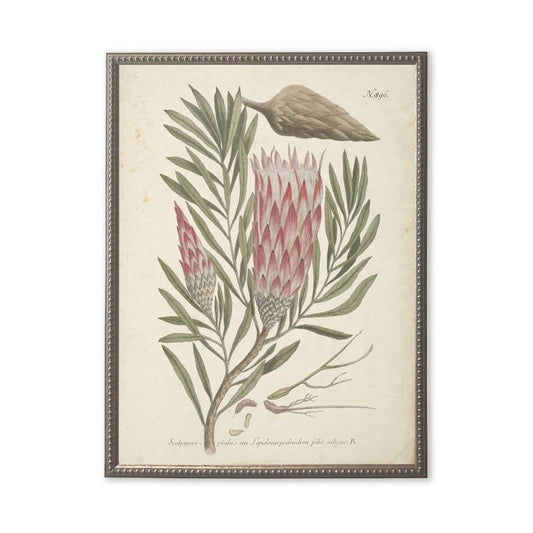Pink Flower in Silver-Beaded Frame