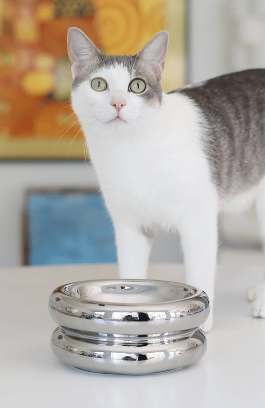 Chrome Halo Elevated Pet Bowl