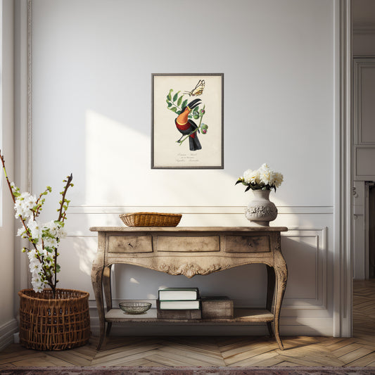 Toucan and Butterfly Print in Beaded Pewter Frame
