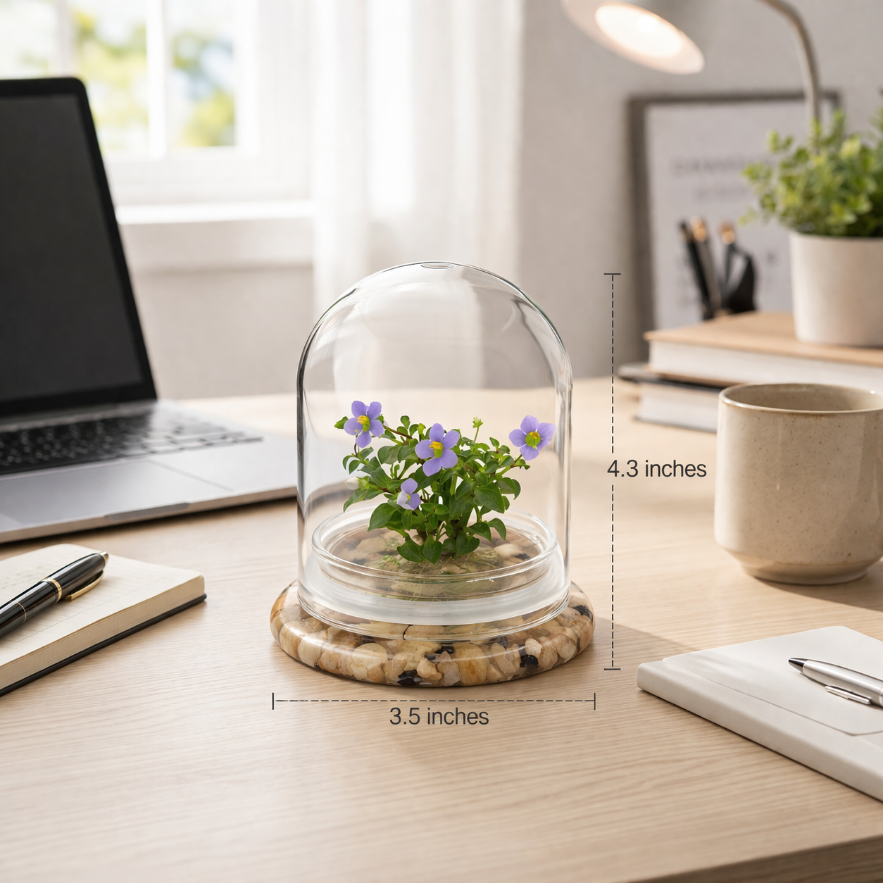 Persian Violet Terrarium