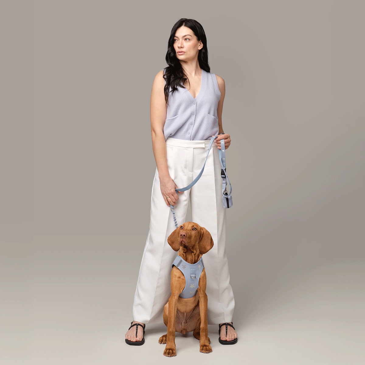 SoHo Dog Harness - Rockstar Hudson