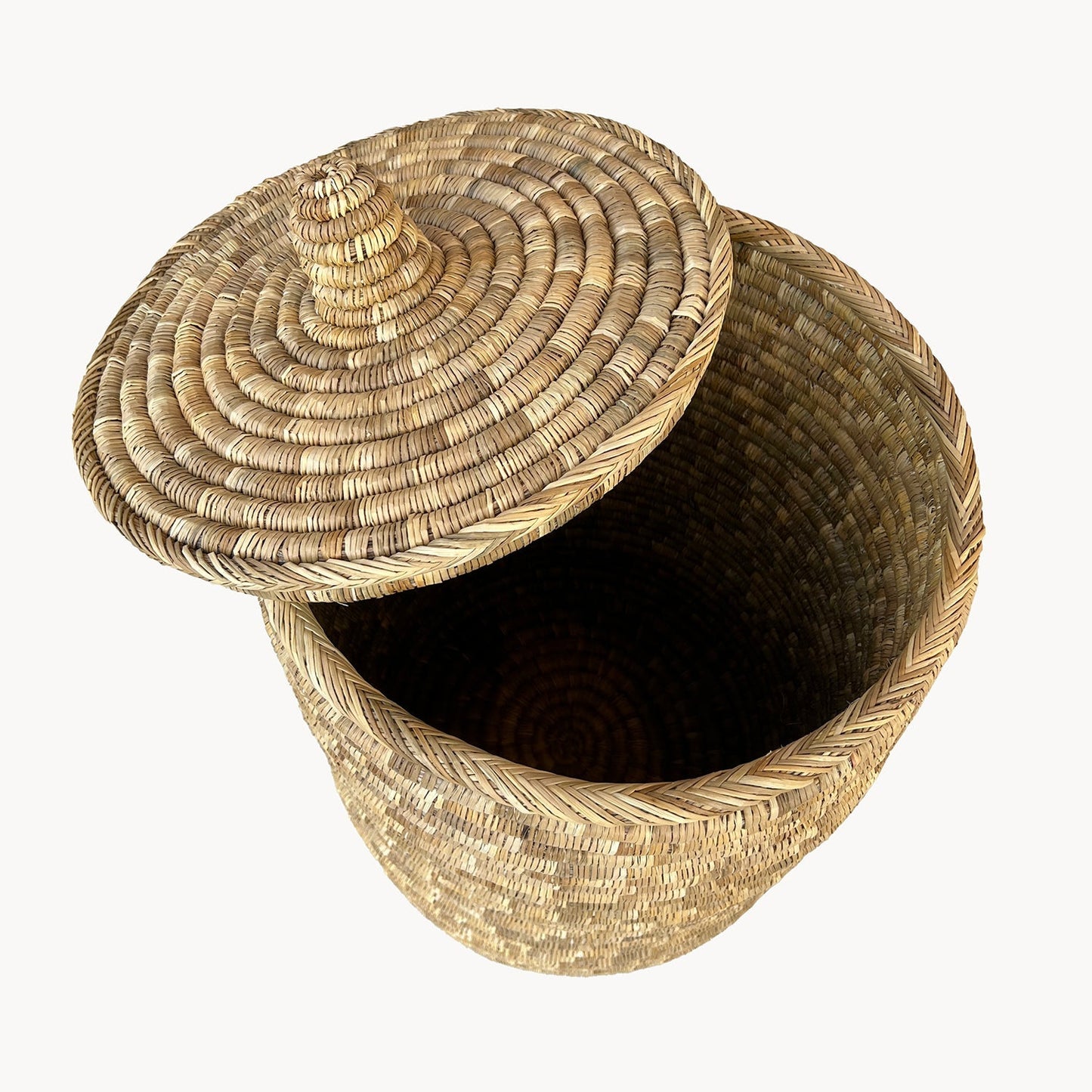 Palm Laundry/Storage Hamper with Lid